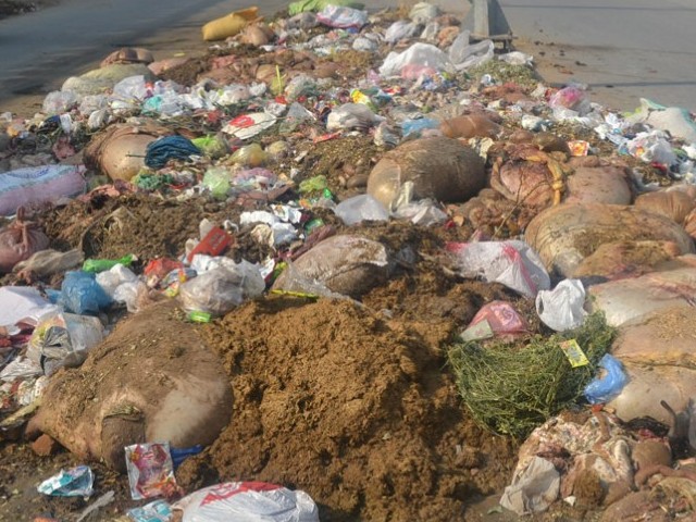Innards everywhere: Plan finalised for disposal of animal waste