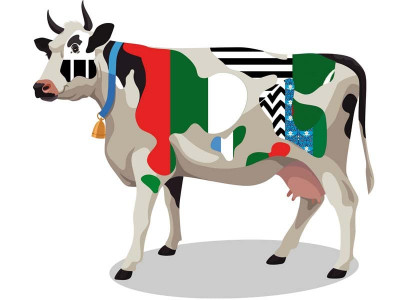 eyes on the prize race to get most hides starts in karachi eyes on the prize race to get most hides starts in karachi