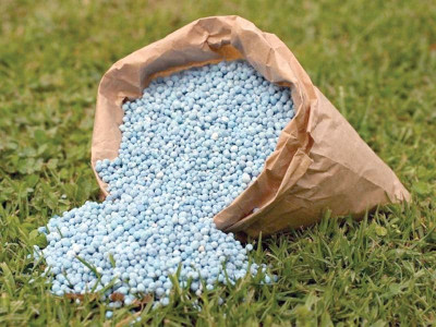 mechanism formulated to pass on rs20b subsidy to farmers
