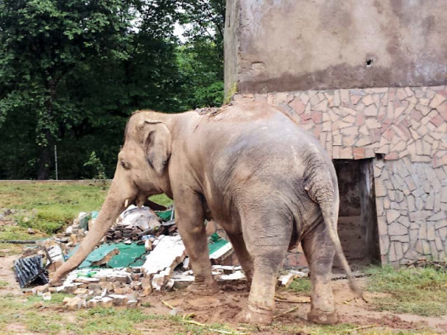 kaavan had a destructive spell on wednesday photo waseem nazir kaavan had a destructive spell on wednesday photo waseem nazir