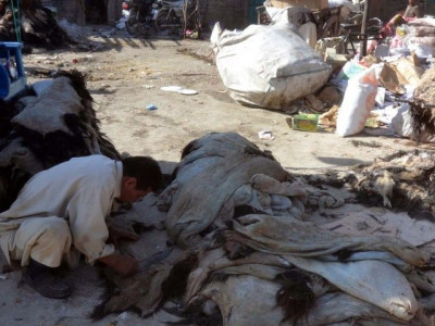 leather industry in tatters following global slowdown leather industry in tatters following global slowdown