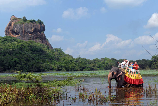 foreign tourists ride an elephant during a sightseeing tour in the ancient city of sigiriya on december 2 2011 photo afp