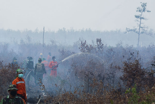 photo afp