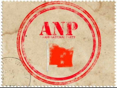 carrot and stick anp withdraws karak councillor s membership