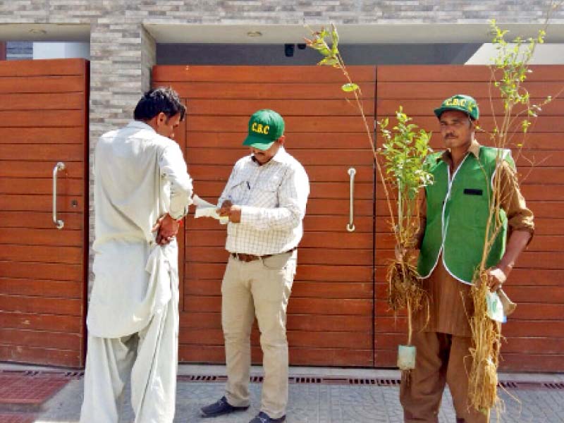 cantonment board clifton has launched a door to door campaign plant a tree in dha phases i to vii and clifton blocks 8 and 9 to encourage residents to plant trees that bear fruits they are distributing the saplings free of charge since october 1 photo express