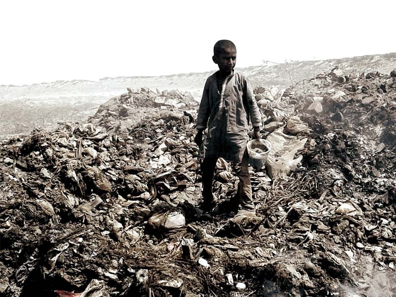 children as young as five years of age help their families look for recyclable items among the piles of rubbish dumped near their village the residents almost all of whom work in this profession care little for health or education photos express