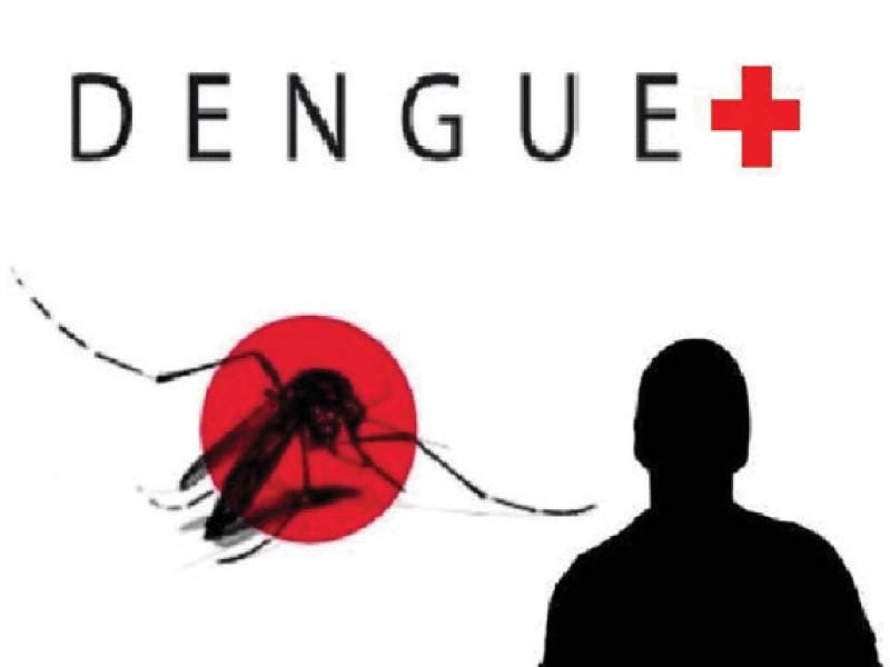 more than 300 volunteers carry out anti dengue campaign