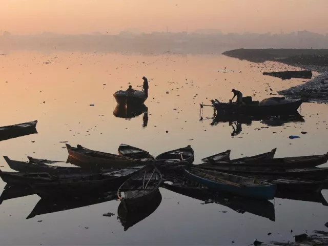 punjab looks to establish fish export processing zone photo file punjab looks to establish fish export processing zone photo file
