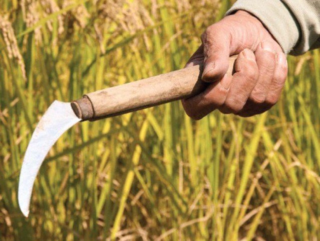 national kissan relief package ihc upholds ecp s order
