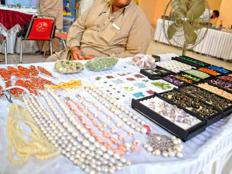 a display at the exhibition held at nishtar hall photo express