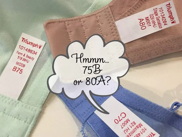 here is triumph beginner s guide to help you find the perfect fit photo facebook triumph here is triumph beginner s guide to help you find the perfect fit photo facebook triumph
