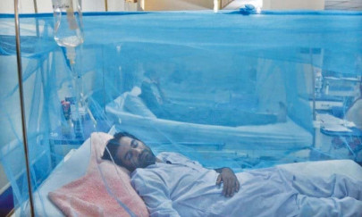 pakistan update six dead thousands test positive for dengue pakistan update six dead thousands test positive for dengue