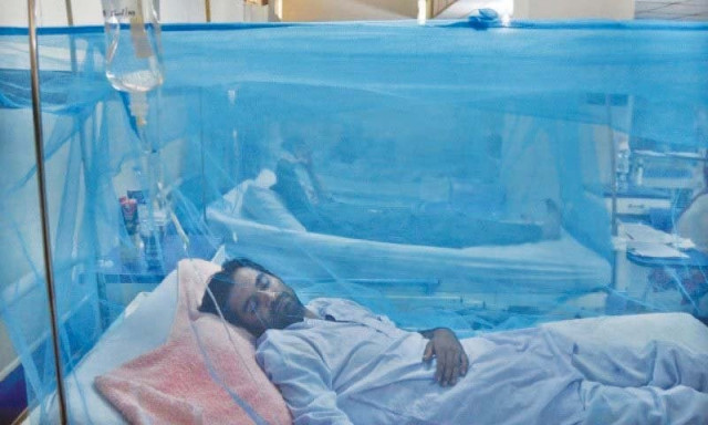 dengue patients under treatment photo file dengue patients under treatment photo file