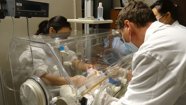 canada giant panda eperts and the zoo 039 s chief veterinarian dr christopher dutton examining two newborn giant panda cubs born at the zoo early october 13 2015 photo afp