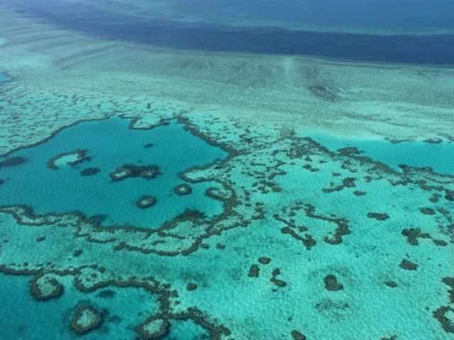 this file photo taken on november 20 2014 shows an aerial view of the great barrier reef off the coast of the whitsunday islands along the central coast of queensland photo afp