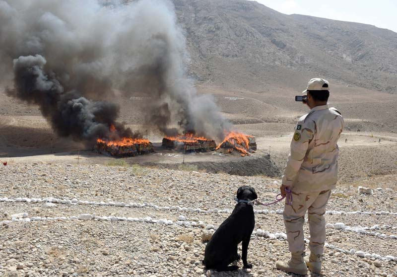 an official of security forces records the scene of the burning pile of seized drugs on the outskirts of quetta on thursday photo afp