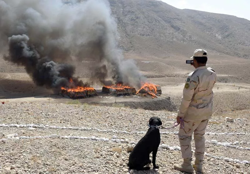 an official of security forces records the scene of the burning pile of seized drugs on the outskirts of quetta on thursday photo afp an official of security forces records the scene of the burning pile of seized drugs on the outskirts of quetta on thursday photo afp