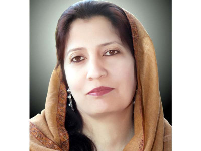 anp senator on k p graft watchdog s target sights