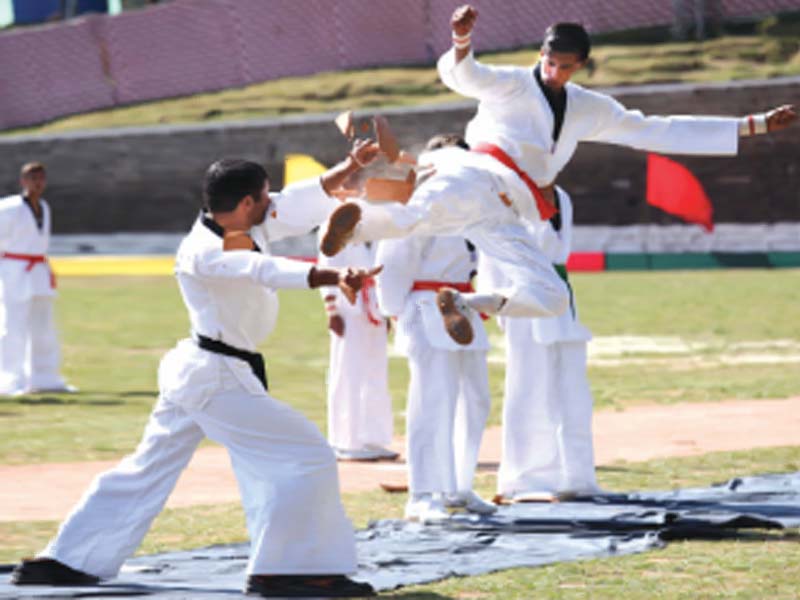 students presented gymnastics and a martial arts show photo express