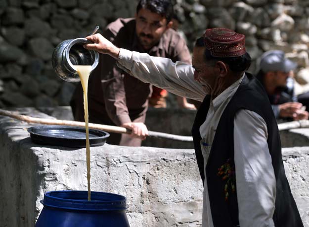 the illicit wine makers of gilgit baltistan