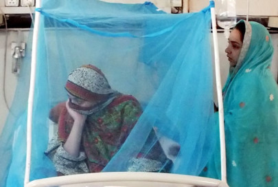 relentless increase almost 2 000 dengue positive patients in rawalpindi relentless increase almost 2 000 dengue positive patients in rawalpindi