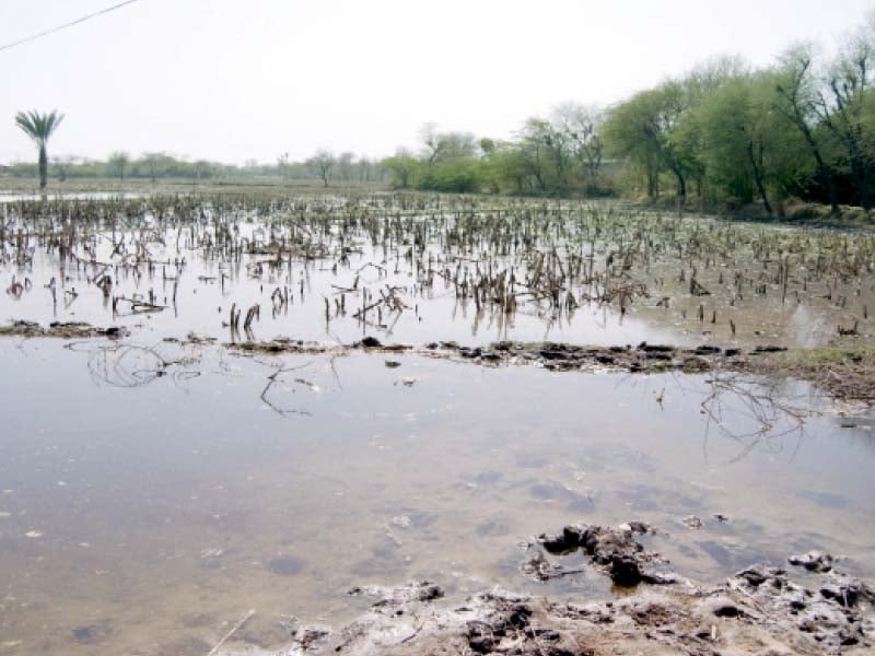 pakistan fisherfolk forum is keen on helping the local population in badin district sindh so they better understand and deal with worsening climate change impacts such as the severe floods that hit sindh in 2010 photo file