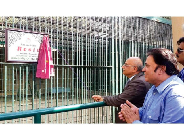 pu officials unveil the plaque for rosie s cage photo pr pu officials unveil the plaque for rosie s cage photo pr
