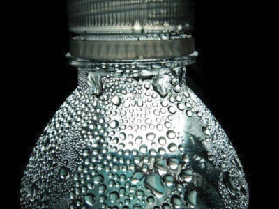 plastic issues prospect of pet exports brighten