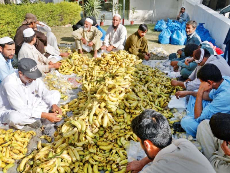 workers pack fruits for police on duty at police lines photo muhammad iqbal express