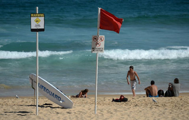 australia has one of the world 039 s highest incidences of shark attacks with 13 in new south wales this year leaving one dead and seven injured threatening the beach tourism industry photo afp