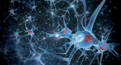 5 ways to increase brain efficiency 5 ways to increase brain efficiency