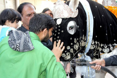 a time for reflection ashura wraps up without major incident