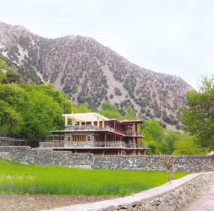 hard nut to crack walnut trees in kalash stand tall amid threats