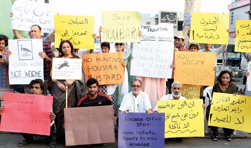 citizens protested the permission given to hunt rare birds in pakistan to foreign dignitaries and royals the citizens believe the birds should be treated as honoured guests in the country photo aysha saleem express