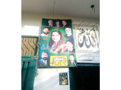 lone soldier the only pml n woman vying for chairmanship