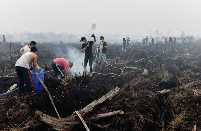 this photo taken on october 27 2015 shows volunteers extinguishing a peatland fire in the outskirts of palangkaraya a city of 240 000 in indonesia 039 s central kalimantan where respiratory illnesses have soared as the smog has worsened in recent weeks photo afp this photo taken on october 27 2015 shows volunteers extinguishing a peatland fire in the outskirts of palangkaraya a city of 240 000 in indonesia 039 s central kalimantan where respiratory illnesses have soared as the smog has worsened in recent weeks photo afp