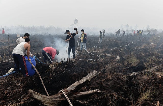 this photo taken on october 27 2015 shows volunteers extinguishing a peatland fire in the outskirts of palangkaraya a city of 240 000 in indonesia 039 s central kalimantan where respiratory illnesses have soared as the smog has worsened in recent weeks photo afp