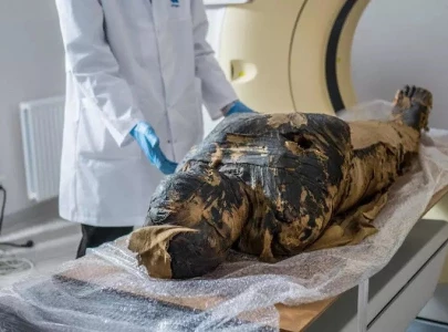 scientists have discovered world s first pregnant egyptian mummy