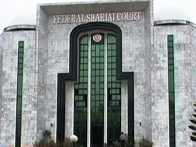 the case was referred to the fsc by the supreme court to reconsider its ruling photo file the case was referred to the fsc by the supreme court to reconsider its ruling photo file