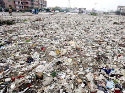 nurturing nature wssp asks for help to keep city clean