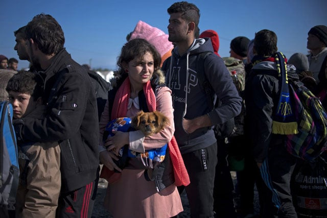 a woman carries her dog as migrants and refugees queue to enter a registration camp after crossing the greece macedona border near gevgelija on november 1 2015 photo afp a woman carries her dog as migrants and refugees queue to enter a registration camp after crossing the greece macedona border near gevgelija on november 1 2015 photo afp