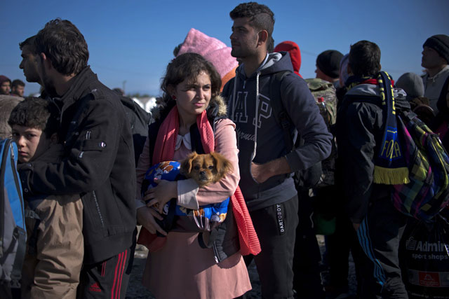 a woman carries her dog as migrants and refugees queue to enter a registration camp after crossing the greece macedona border near gevgelija on november 1 2015 photo afp