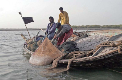 women empowerment for securing sustainable alternative livelihoods women empowerment for securing sustainable alternative livelihoods