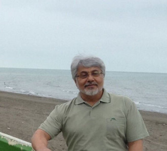 iran arrests prominent journalist on propaganda charges iran arrests prominent journalist on propaganda charges