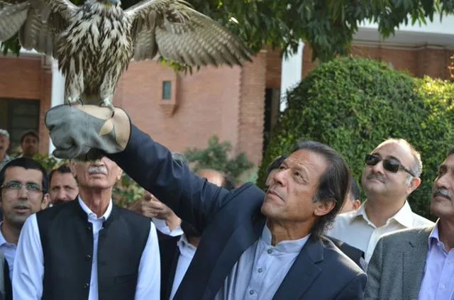 photo pti photo pti