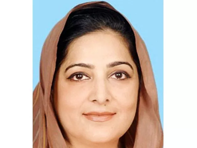 it minister anusha rahman photo file it minister anusha rahman photo file