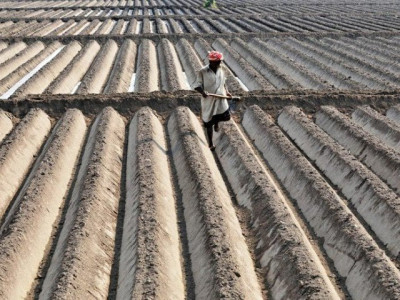 agriculture research subsidy not long term solution agriculture research subsidy not long term solution