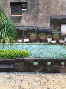 heavy rain hailstorm hit islamabad heavy rain hailstorm hit islamabad