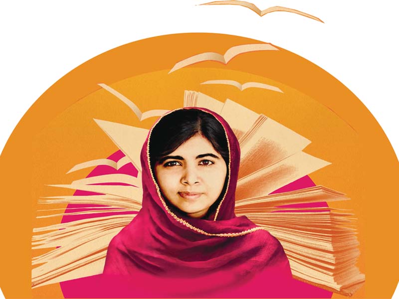 he named me malala highlights an important subject but without the details her story deserves