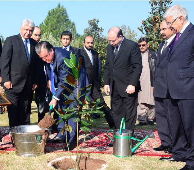 the tajik president planted magnolia grandiflora tree at the international friendship garden of shakarparian photo pid